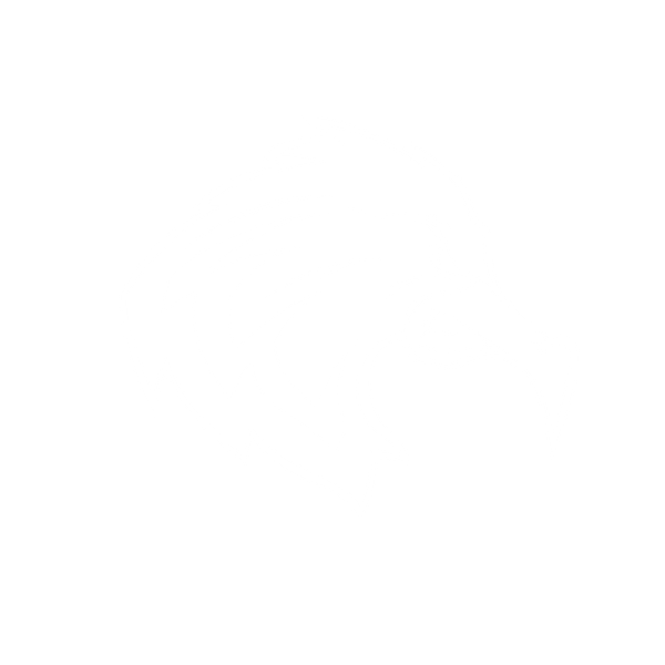 Logo Seagulls