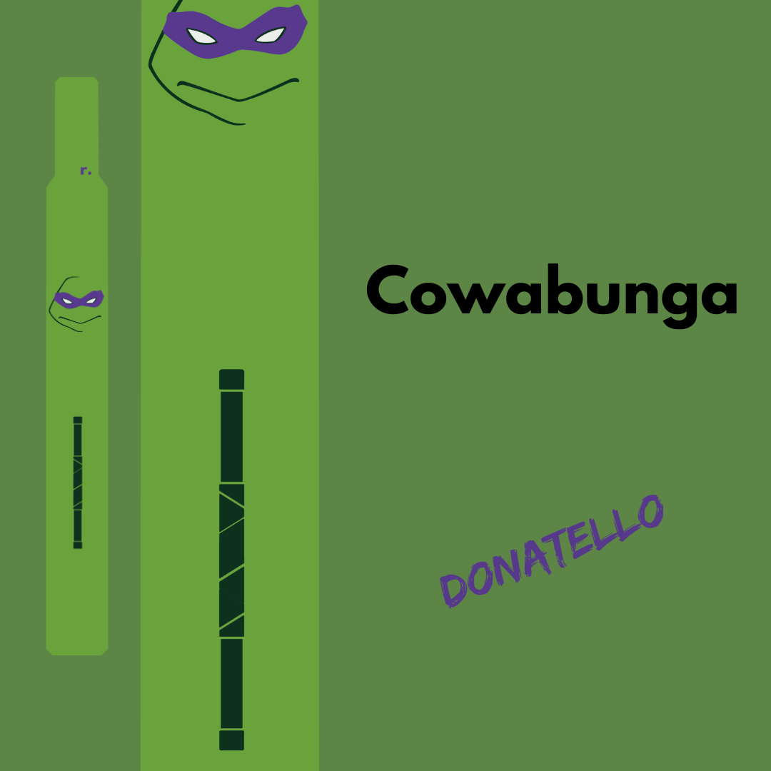 Cowabunga Donatello