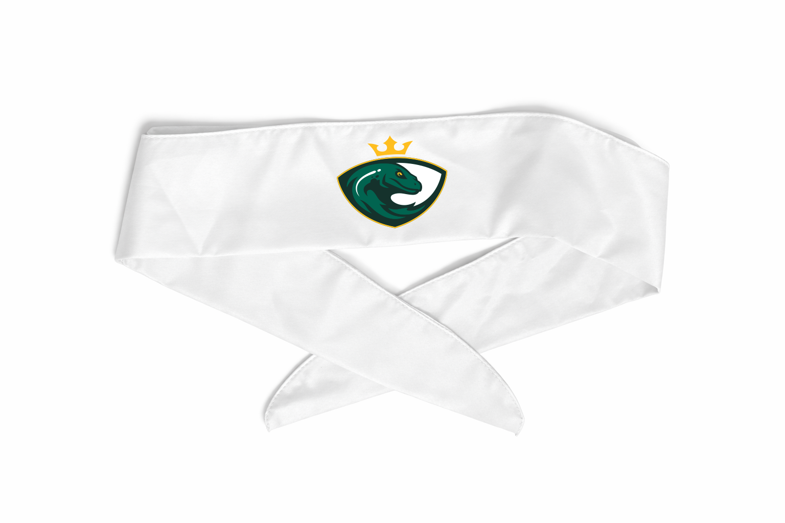 Salamanders Headband