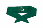 Stirnband Salamander