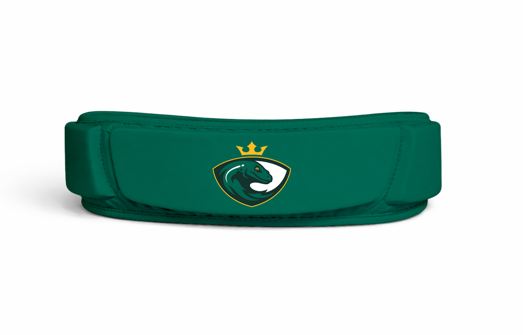 Bandeau de Protection
