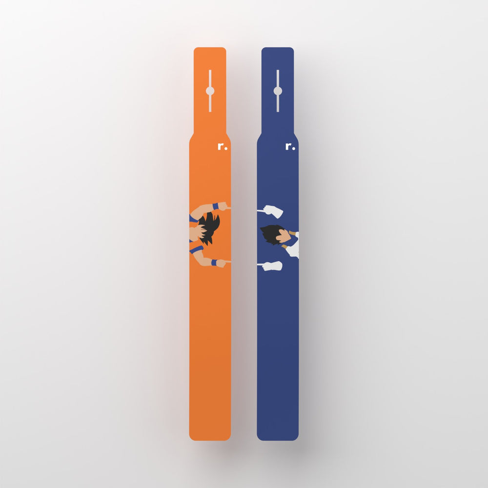 Flags Fuuusion – vue de face (rendu 3D)