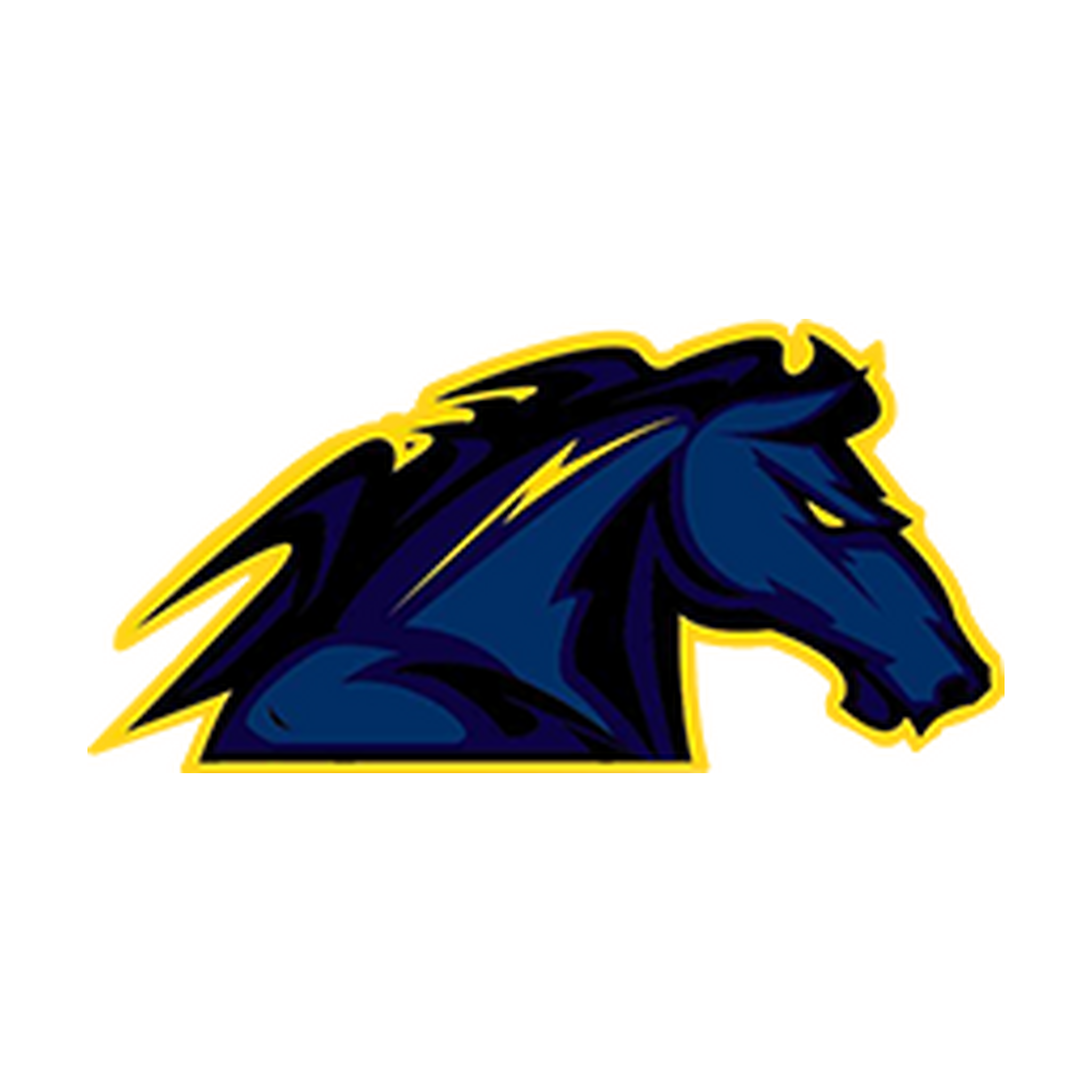 Logo Mavericks de Dunkerque