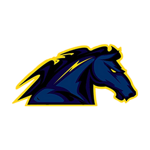 Logo Mavericks de Dunkerque