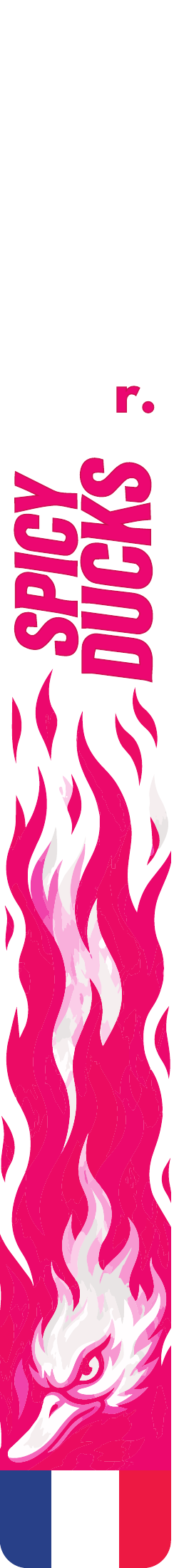 Flags Spicy Ducks rose - Flags seuls (paire)