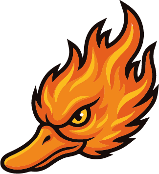 Logo Spicy Ducks orange